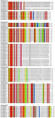 Principles Of Population Genetics Ebook